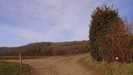 Carrefour de la Loyassière, cote 754m.