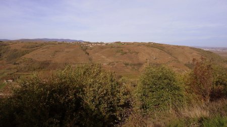 Colline de Brunieux.