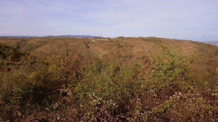 Colline de Brunieux