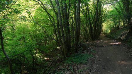 Vallon de Grangent.