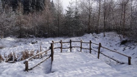 Le Sentier de découverte...recouvert...