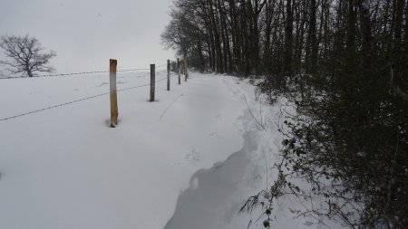 Vue rétro sur ma tranchée dans les congères.