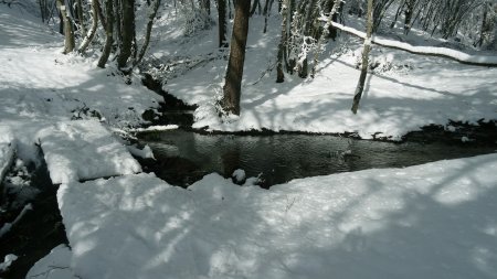 La passerelle est assez délabrée.