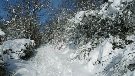 Montée au mont Morin.