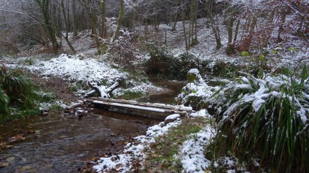 Passerelle glissante pour franchir le Malleval.