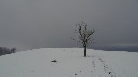 Après la ferme du Poizat.