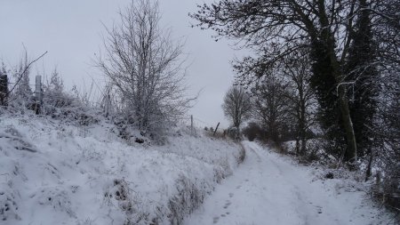 Davantage de neige en remontant sur Saint-Héand