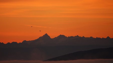 Rapaces et Meije