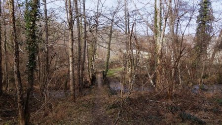 Passerelle sur le Bonson.