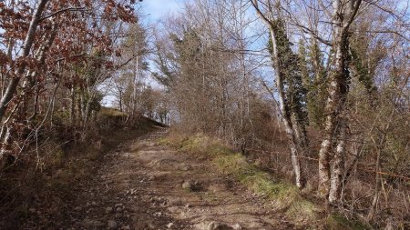 Montée (caillouteuse) sur Châtelus.