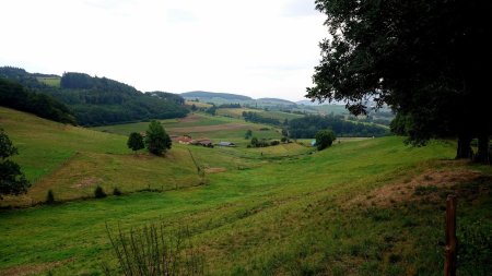 Vallon du Potensinet