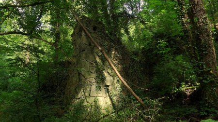 Ruines du Moulin Bissy.