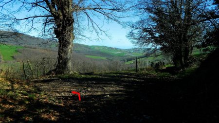 150 mètres plus loin, descendre à gauche