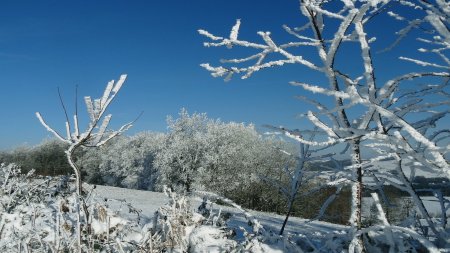 Givre.