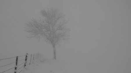 Heureusement que je connais chaque arbre isolé pour me repèrer