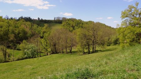 Vallée de la Doise.