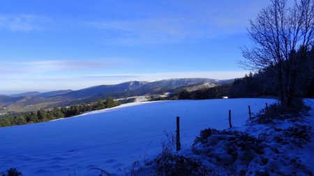 Vers le plateau de la Barbanche, avant la redescente.