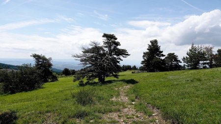 Retour au belvédère du Janon