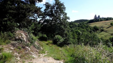 Descente dans le val de la Charpassonne.