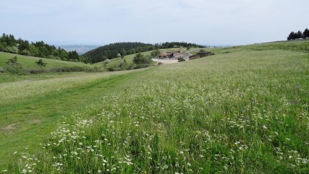 En montant à la Perdrix.