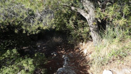 Départ de la descente : raide et glissant.