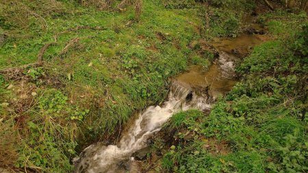 L’Anzieux près de sa source.