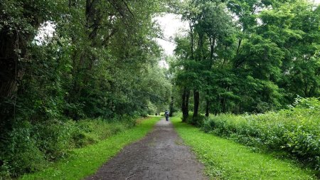 Parc des bords de Loire