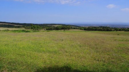 Vers le mont Boussuivre.