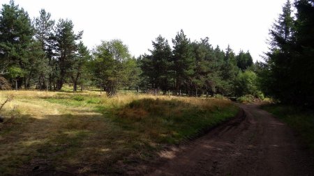 Rejoindre une piste au niveau de réservoirs, borne 7V cote 1332m