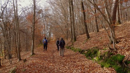 Retour par le raccourci de Pierre Longue.