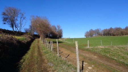 Petit col entre les vallons de la Vergnassière et des Reculées