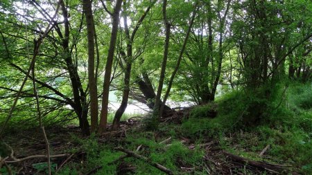 Au bord du Rhône, avant «l’Enfer vert».