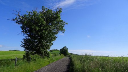 Chemin de crête