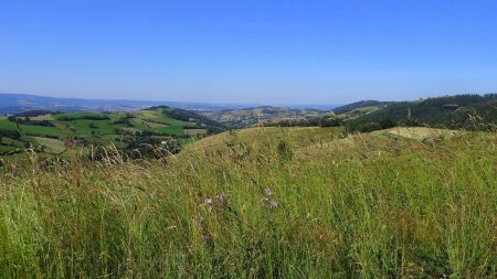 Vers les lointains sucs du Velay.