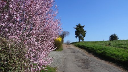 Couleurs printanières.