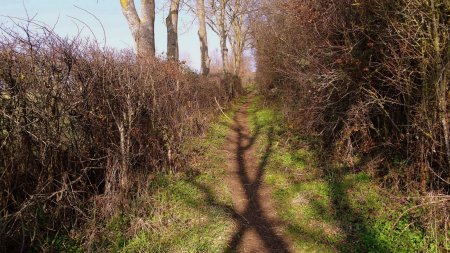 Sentier souvent boueux.