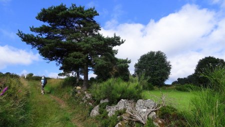 En arrivant à la balise Vierge de Fraisse.