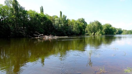 Au bord de la Loire