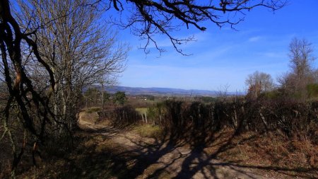 Vers les monts du Forez.