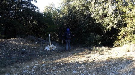 Sentier pour descendre du plateau