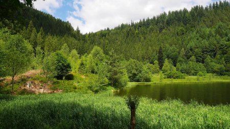 Sankenbachsee.