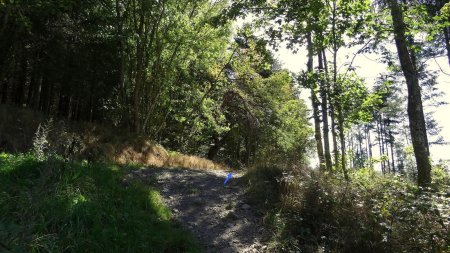 Jonction avec la piste au sud de la cote 900.