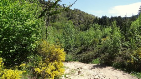 Descente caillouteuse.