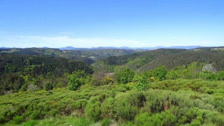 Gorges et massif du Meygal.