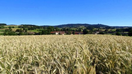 Le bourg dans le rétro.