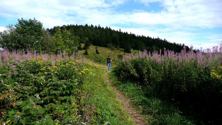 Prairie du Pas de la Clé