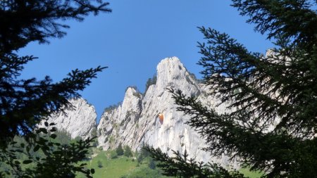 Autre ouverture à travers les arbres. Cette fois vers les Dents de Lanfon, avec un parapente en train d’effleurer les falaises des Dents ...