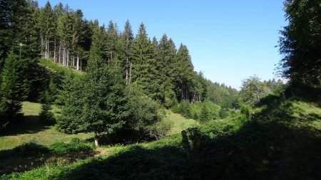 Vallon de la Barbarie.