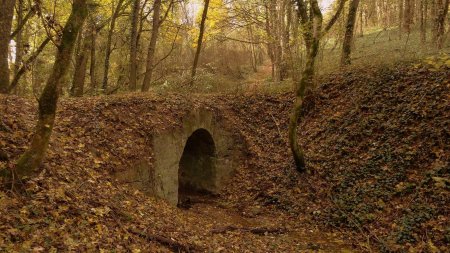 Le petit pont de la Goutte du Petit Pont.