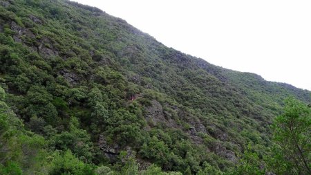 Des deux côtés de la combe de Vermale.